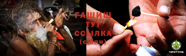 прущие грибы Наволоки