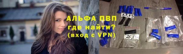 прущие грибы Наволоки