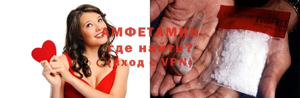 прущие грибы Наволоки