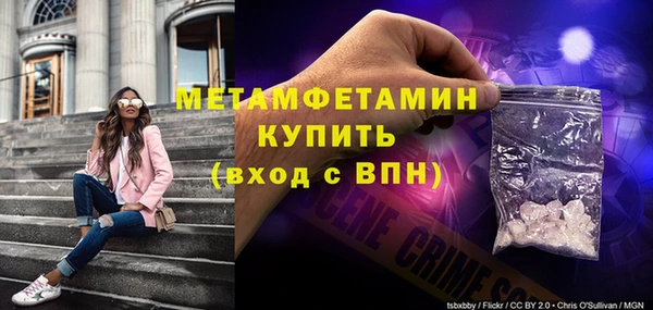 прущие грибы Наволоки