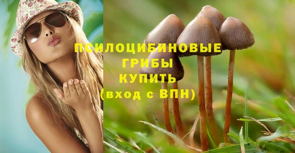 прущие грибы Наволоки